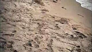 that muscular latina babe on the beach blows my big cock and gets cum covered in public