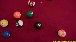 You're gonna pound my tight ass deep!