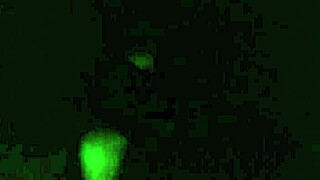 amateur homemade pounding gets real sloppy and intense quick