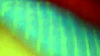 check out this big butt bubble lady shaking her huge ass everywhere