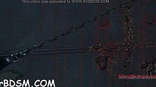 bold beauties compete sucking cocks and fucking pussies in hardcore pleasure contest