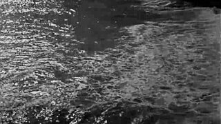 Vintage Erotic Art Featuring Retro Beaver Displays