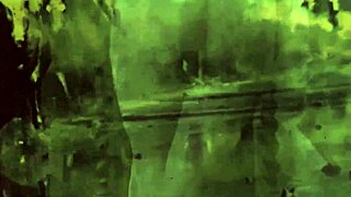 secret life vintage milf hairy pussy erotic retro beaver antique