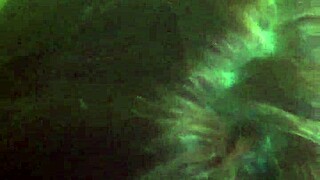 damn this shemale blowjob got me trimmin hard 415adab3-7d64-475c-bfc3-40ade2f58172.mov