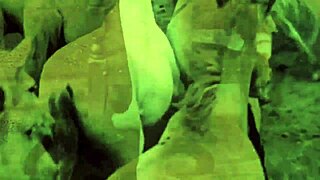 secret life vintage milf hairy pussy erotic retro beaver antique