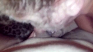 massive cumshot explosion captured in stunning detail 7-28