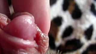 激烈阴蒂高潮颤抖特写我抖不停