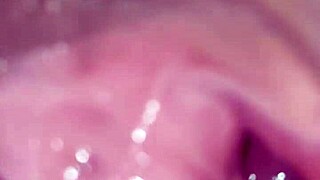 intriguing curves of beautiful fat pussy revealed up close