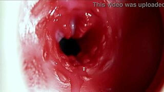 Big Cock Fucks Oiled Redhead Fuck Doll Anus to Huge Moaning Orgasm