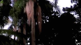 Local Teen in Fishnets Gets Ass Fingered and BBC Throat Fucked Hard