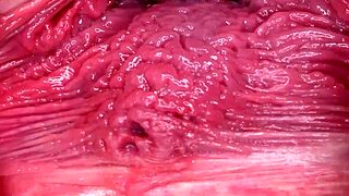 damn this hot big ass tits shaved slut fingers her wet squirting pussy so hardcore 😍 homemade horny masturbation fun!