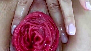 destroyed juicy prolapse asshole gaped in close up anal play