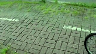 Two hot babes pedal no-panties in rain, voyeur tits bouncing wild!