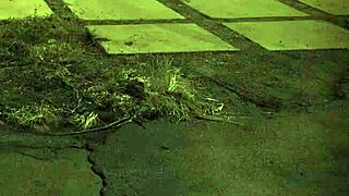 Ever wondered how teens handle extreme gangbang domination?