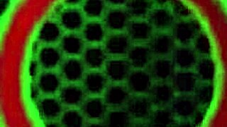 Big ass milf, rip my bikini off and fuck my pussy lips raw!