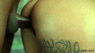 Louise lee screaming for more bbc deep in her british milf ass?