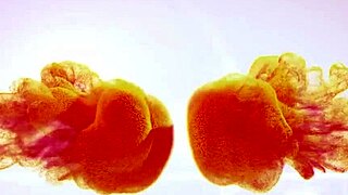 my wet czech pussy gapes wildly on extreme dildo toys 💦🇨🇿