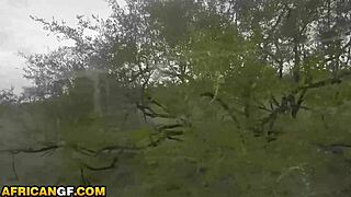 wanna see this super tight ebony pussy get wrecked by huge cock in a van?