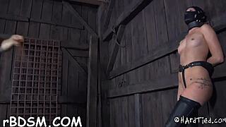 hardcore blowjob action in xv-f291e0ec7375fd942b2b06074ee8a6b8