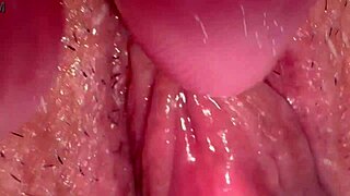 Amateur's Pink Pussy Close-Up 187 Days Post-Virginity Loss