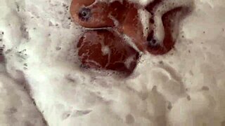 Big Tits Ebony Stepmom Delivers Best Interracial Blowjob And Cumshot