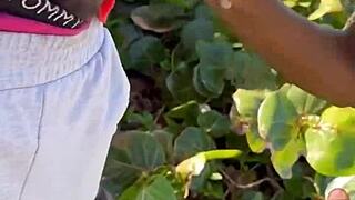 Sucking Shy Black Cock Beach Cum Swallow