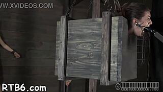 Femdom Sadomasochism Whipping And Domination