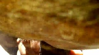 Mature Babe Delivers Hot POV Blowjob in Driving Car