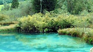 Nine Reasons Girls Struggle with Orgasms from Weak Licks and Dry Wet Pussies