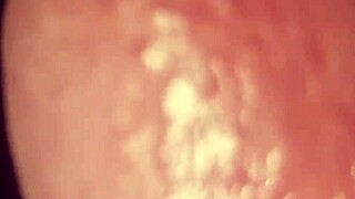 hot italian guy jerks fast with cumshot closeup on piano solo