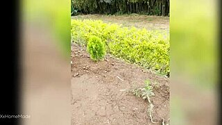 young colombian farm babe milks my cock deep then swallows every drop?