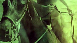 vintage hairy pussy exposed outdoors with retro pooch in antique style