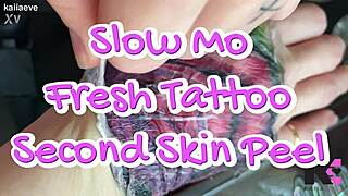 Fresh tattoo glistens on babe's skin in slow motion peel