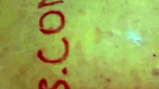 i can't get enough of sandra's fat hairy pussy lips licked in her big ass garage worship