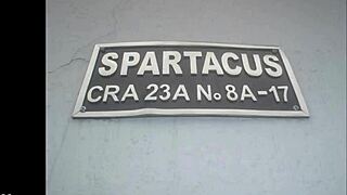 you won't believe what happens at this clandestine halloween swingers party