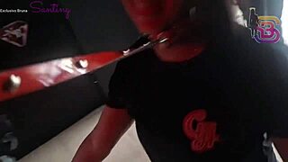 wife collared by hung black bull parties with crowd while i watch