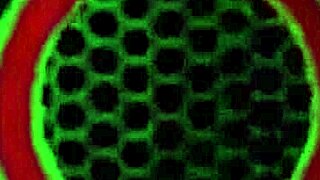 rome major rams tia cyrus throat then pounds her big ass with bbc interracial destruction