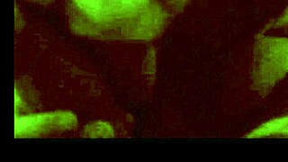 secretária safada chupando pau do chefe com boquete guloso e molhado