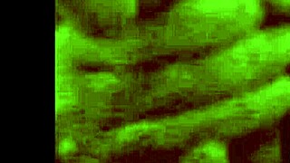 secretária safada chupando pau do chefe com boquete guloso e molhado