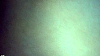 laura daniela mexico city hotwife shows off in public exhibition?