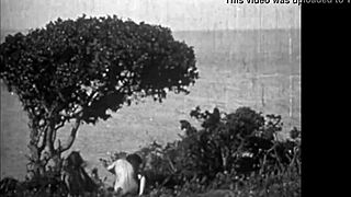 Vintage hairy beavers exposed nude in wild nature settings