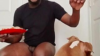 Llamasr's solo food update intrigues March 2025