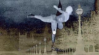 Vintage hairy beavers exposed nude in wild nature settings