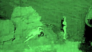 Vintage hairy beavers exposed nude in wild nature settings