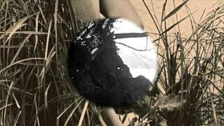 Vintage hairy beavers exposed nude in wild nature settings