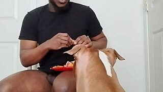 Llamasr's solo food update intrigues March 2025