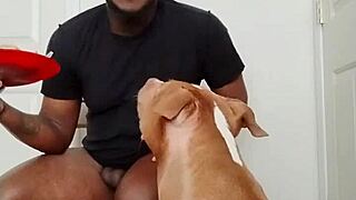 Llamasr's solo food update intrigues March 2025