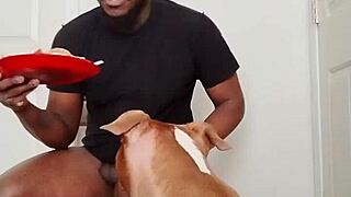 Llamasr's solo food update intrigues March 2025