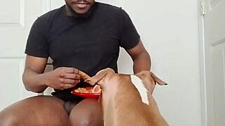 Llamasr's solo food update intrigues March 2025