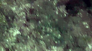 i spied step-aunt's solo play and watched her reach the peak quietly